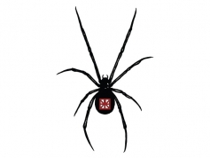 Paetra Riesling Spider Label 2019